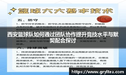 VSport胜利因您更精彩