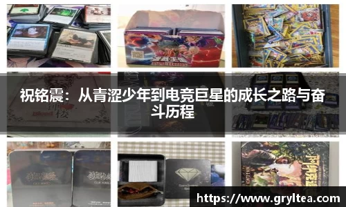 VSport胜利因您更精彩